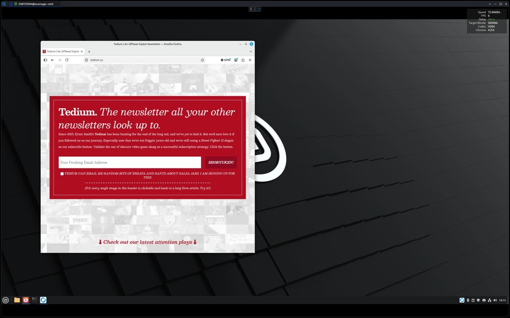 RustDesk-Mint.png